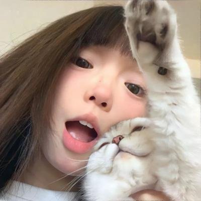 我的蠢老板 高清封面
