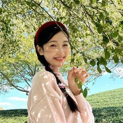 星际大奇航 高清封面